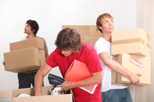 Professional movers transporting items with a man and van service